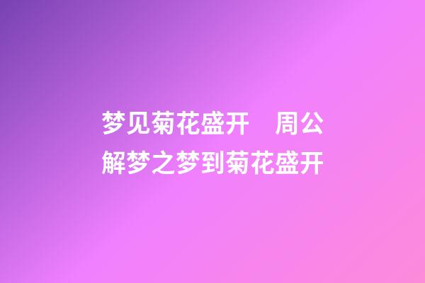 梦见菊花盛开　周公解梦之梦到菊花盛开